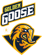 Golden Goose secures mobile transactions of its international mVas marketplace DCB HUB through Evina&#8217;s advanced anti-fraud technology